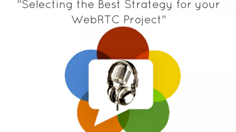 [WebRTC Standards Webinar Recap] WebRTCventures CEO Discusses “Selecting the Best Strategy for your WebRTC Project”