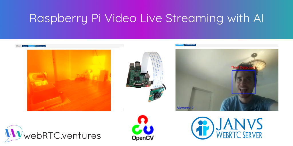 Raspberry Pi Video Live Streaming with AI